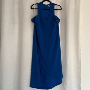 Halston Heritage Evening Collection Dress